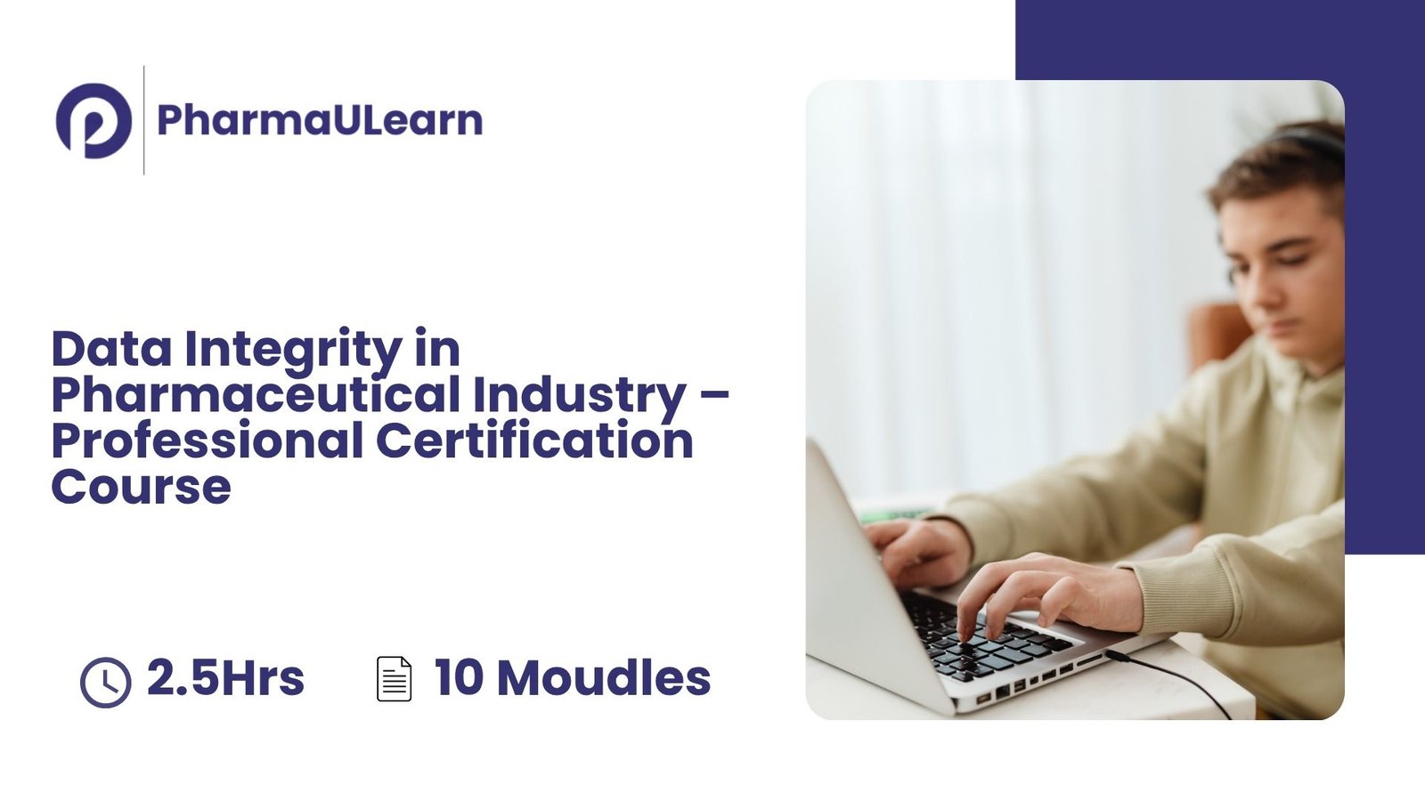 Data Integrity in Pharmaceutical Industry – Professional Certification Course